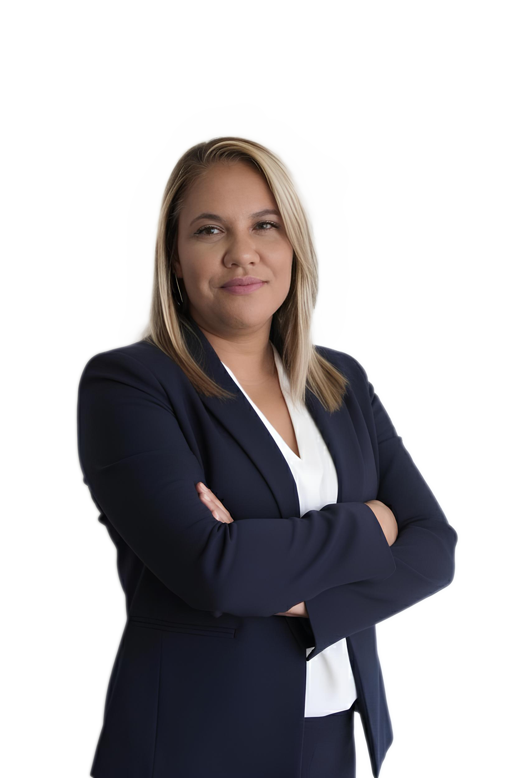 Consultora Mega Consulting